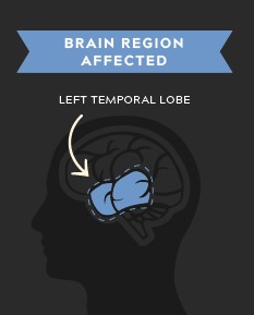 Left Temporal Lobe